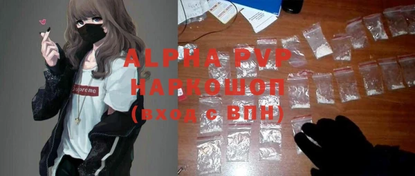 твердый Надым