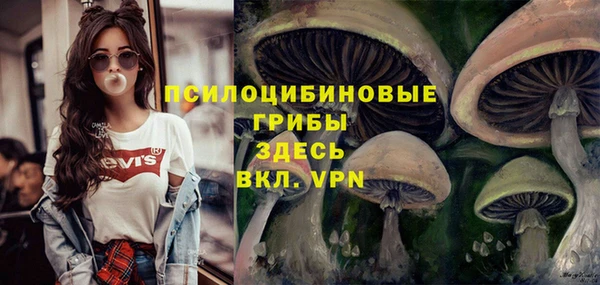 дмт Навашино