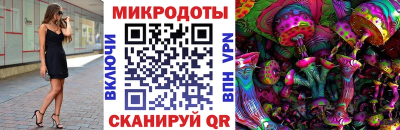 Галлюциногенные грибы Psilocybine cubensis Екатеринбург